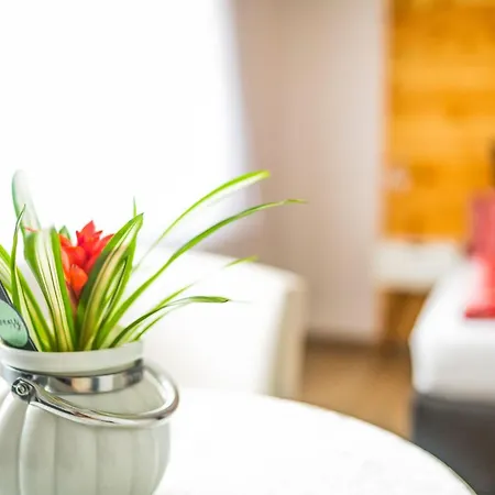 Apartment Seminarhaus & Zell Am Harmersbach