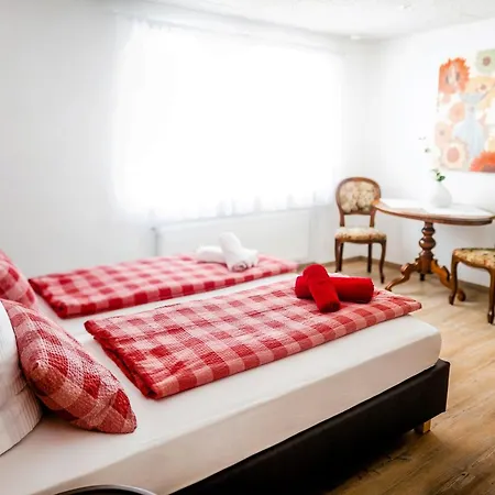 Zell 14 Pers | Sauna | Hunde Erlaubt | Bbq | Massage Biberach an der Riß