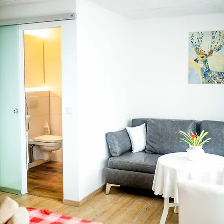 Appartamento Zell 14 Pers | Sauna | Hunde Erlaubt | Bbq | Massage