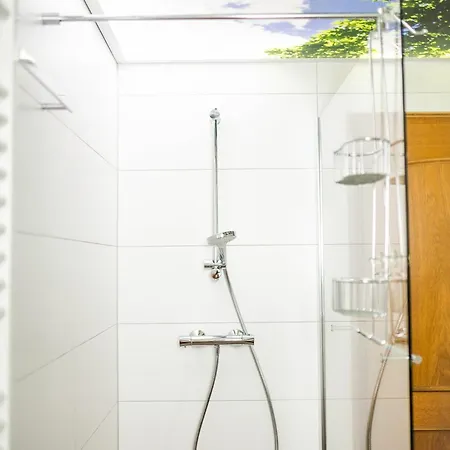 Апартаменты Zell 14 Pers | Sauna | Hunde Erlaubt | Bbq | Massage Биберах-ан-дер-Рис