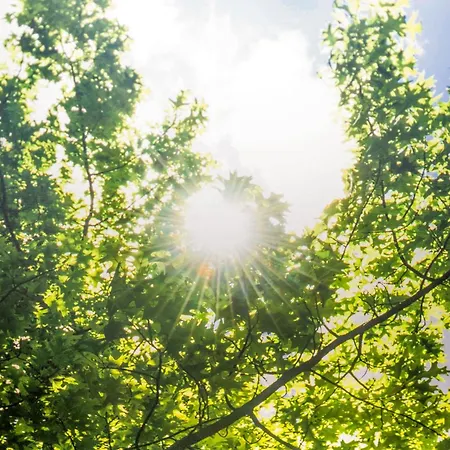 Zell 14 Pers | Sauna | Hunde Erlaubt | Bbq | Massage Биберах-ан-дер-Рис