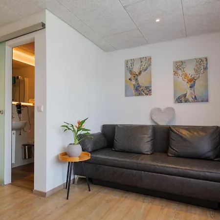 Апартаменты Zell 14 Pers | Sauna | Hunde Erlaubt | Bbq | Massage