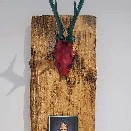 Appartamento Zell 14 Pers | Sauna | Hunde Erlaubt | Bbq | Massage