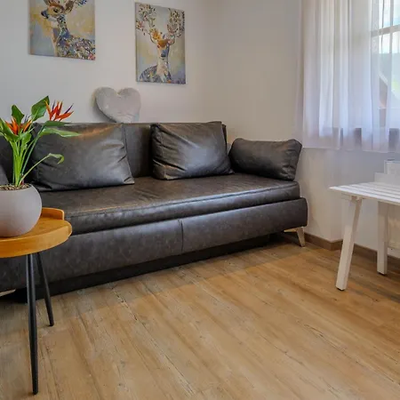 Seminarhaus & Zell Am Harmersbach Apartment *