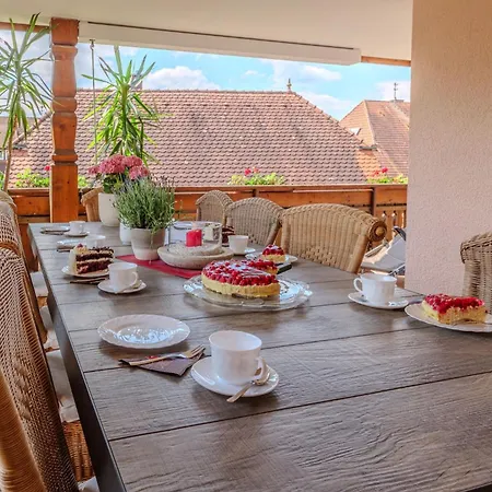 Zell 14 Pers | Sauna | Hunde Erlaubt | Bbq | Massage Biberach an der Riß