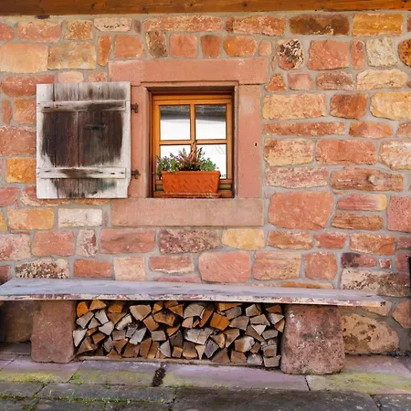 Zell 14 Pers | Sauna | Hunde Erlaubt | Bbq | Massage Апартаменты